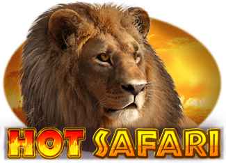 Hot Safari